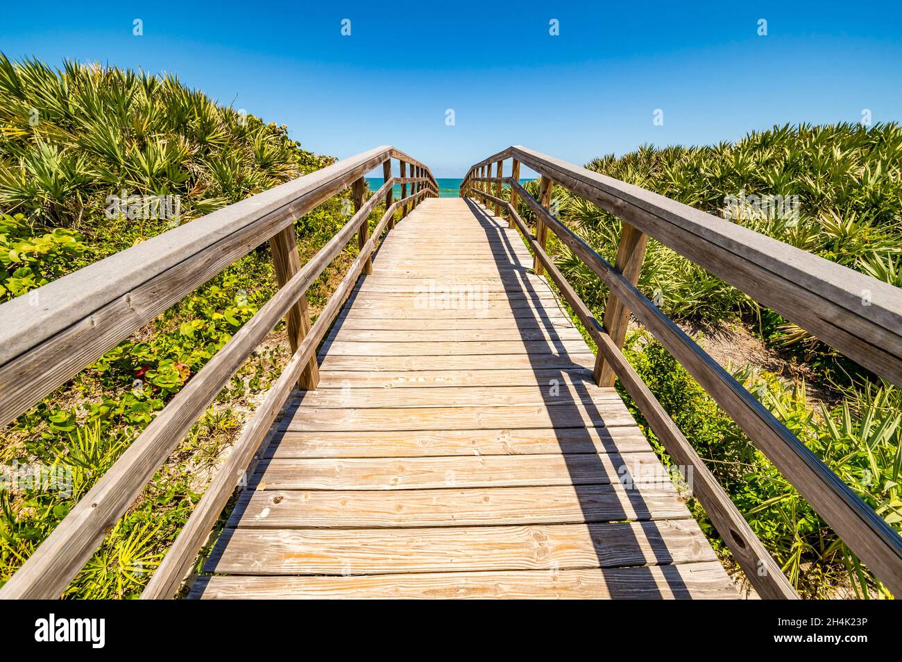 Stati Uniti, Florida, Orlando, Cape Canaveral, Kennedy Space Center, Verso l'immensa spiaggia di sabbia bianca che corre lungo tutta la costa dell'isola di Merritt Foto Stock