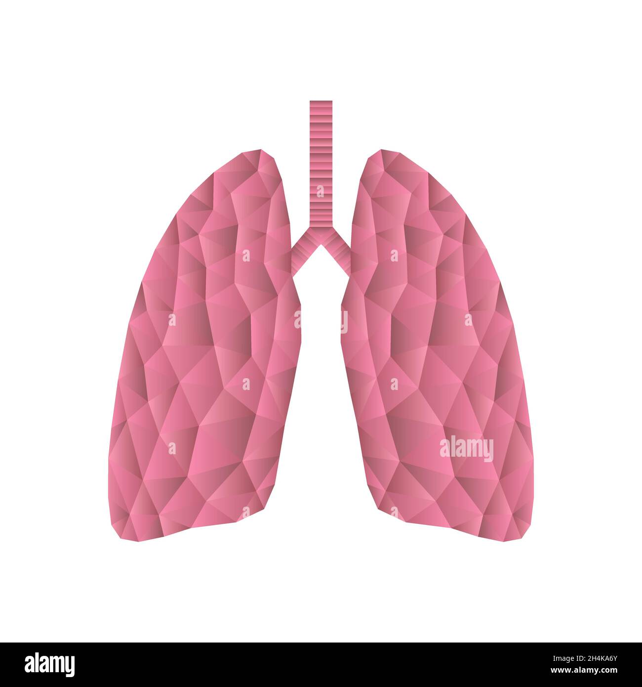 Polmoni poligonali isolati su bianco. Concetto astratto di triangolo poly basso. Organo interno umano. Icona del vettore medico. Illustrazione Vettoriale