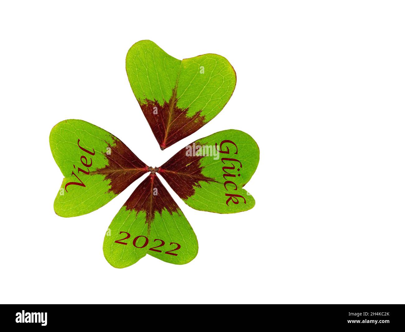 Lucky Clover con l'iscrizione 'Viel Glück 2022', traduzione 'buona fortuna 2022' di fronte a uno sfondo bianco Foto Stock