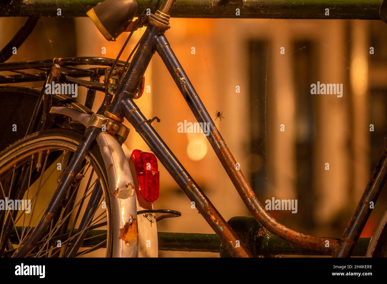 Paesi Bassi. Notte sul lungomare di Amsterdam. Vecchia bicicletta  arrugginita presso la recinzione alla luce di una lanterna con un nastro di  ciottoli e un ragno Foto stock - Alamy