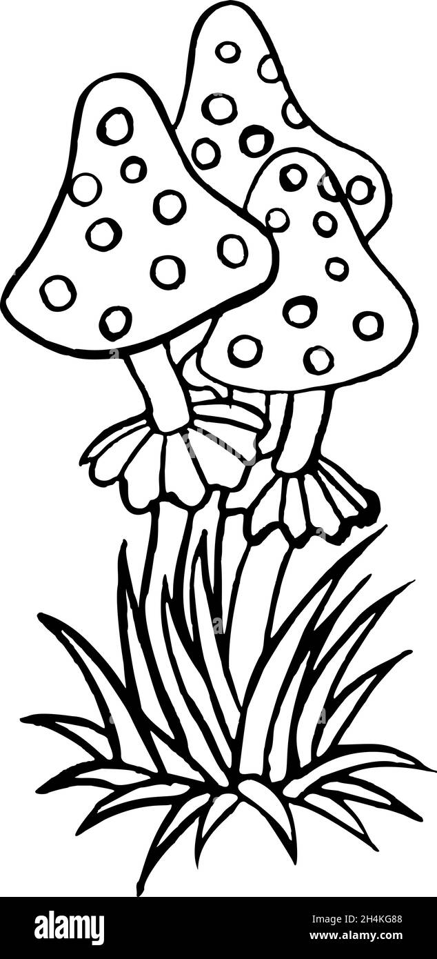 funghi, disegno di linea, oggetti magici volare agarico Illustrazione Vettoriale