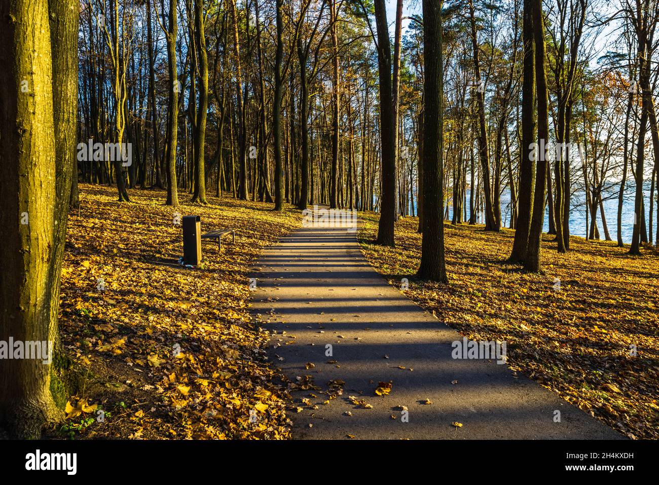 paesaggio autunnale nel parco cittadino con una panca di riposo Foto Stock
