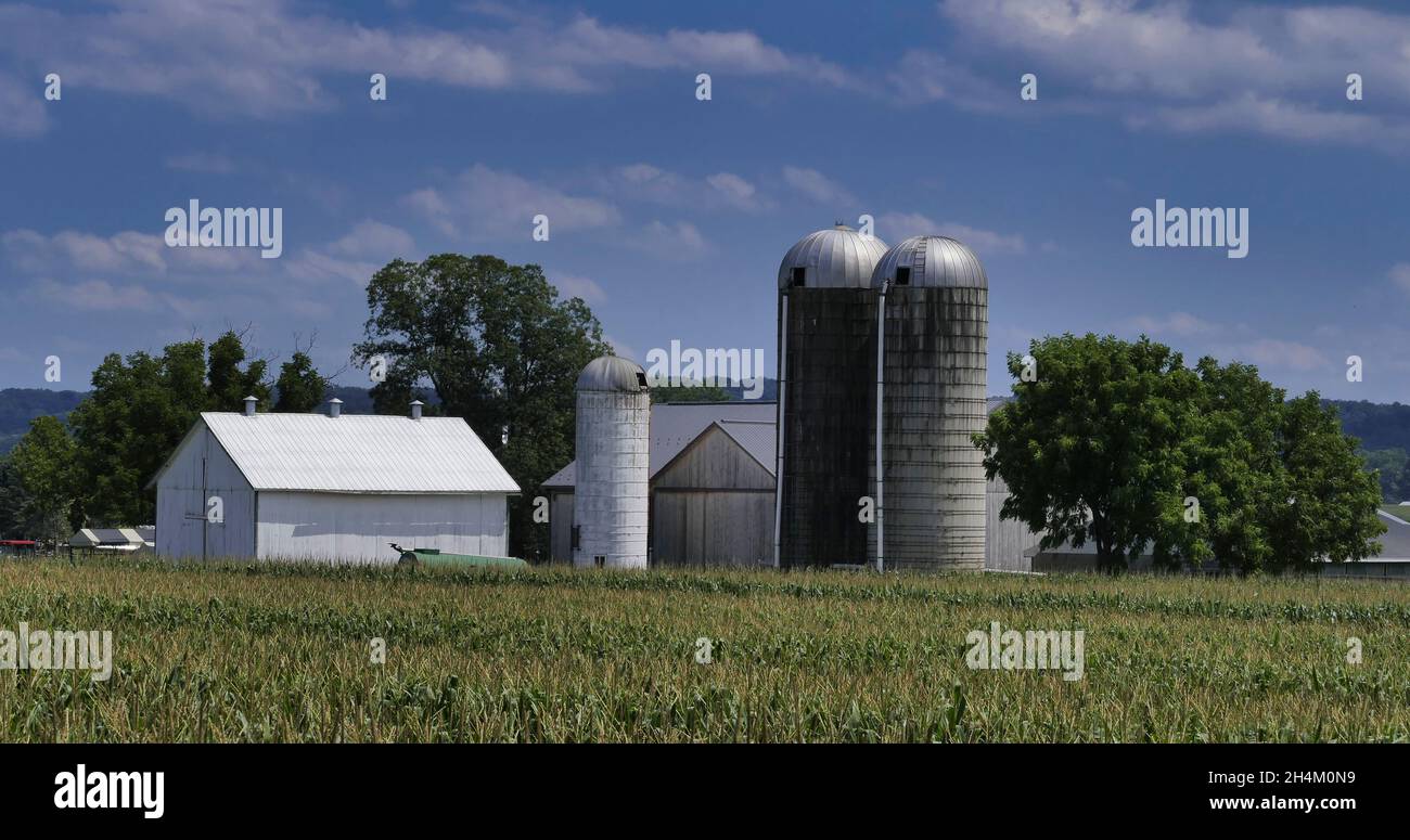 Un Barn Amish e Silo in campagna come visto in una bella giornata di sole Foto Stock