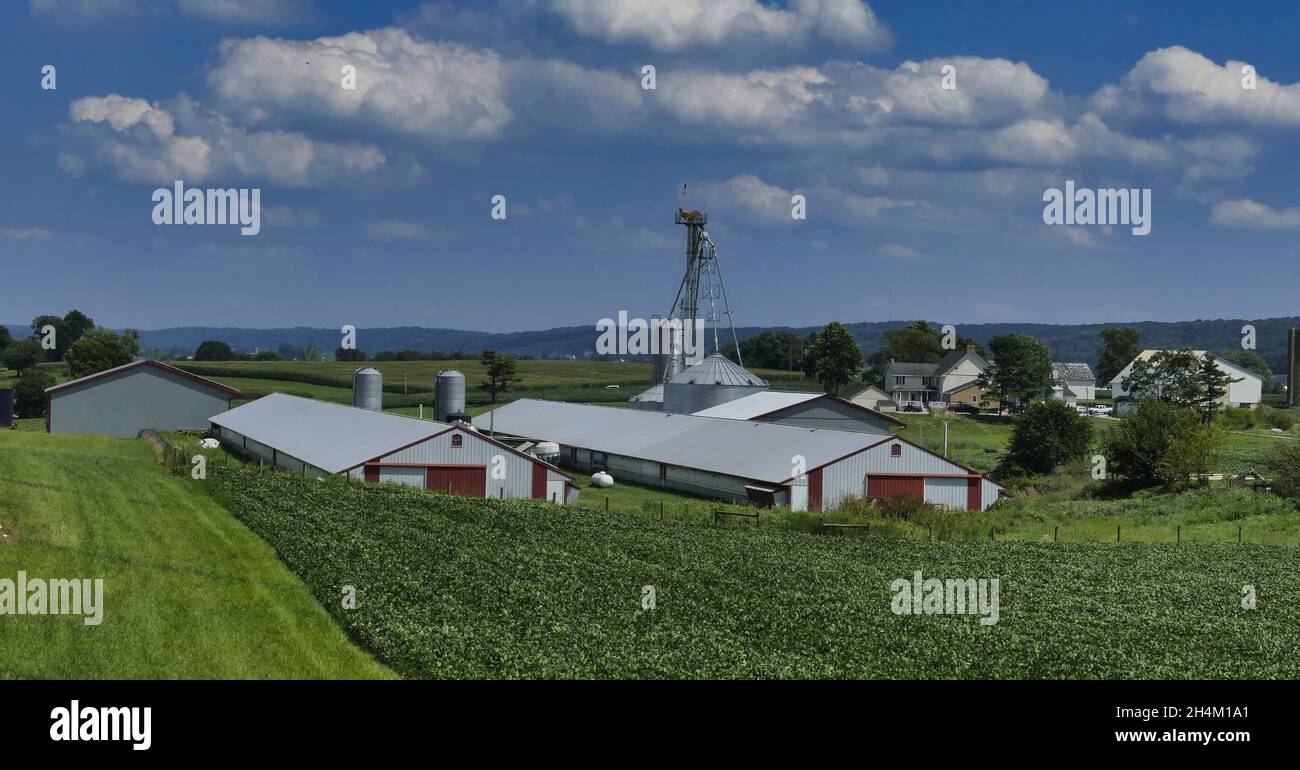 Un Barn Amish e Silo in campagna come visto in una bella giornata di sole Foto Stock