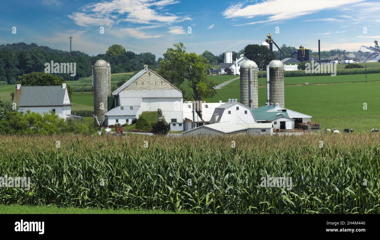 Un Barn Amish e Silo in campagna come visto in una bella giornata di sole Foto Stock