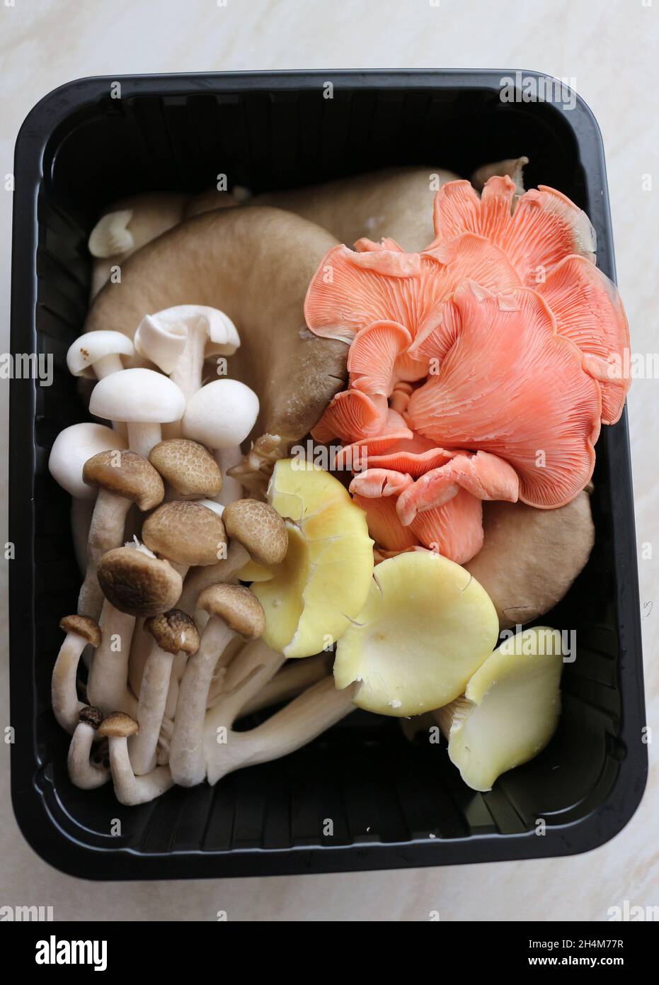 funghi selvatici commestibili in un punnet Foto Stock