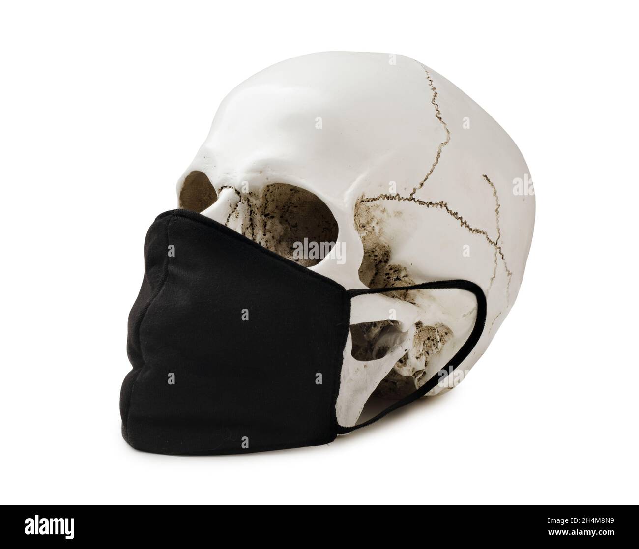 Cranio con maschera protettiva. Un cranio in una maschera protettiva medica su di esso il viso in fondo bianco. COVID-19. Foto Stock
