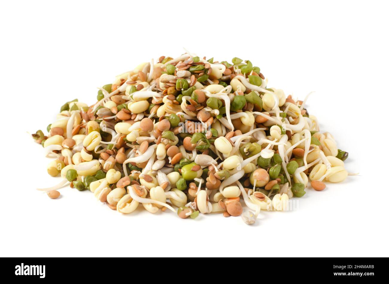 Mix di germinati vari germinati isolati su sfondo bianco Foto Stock