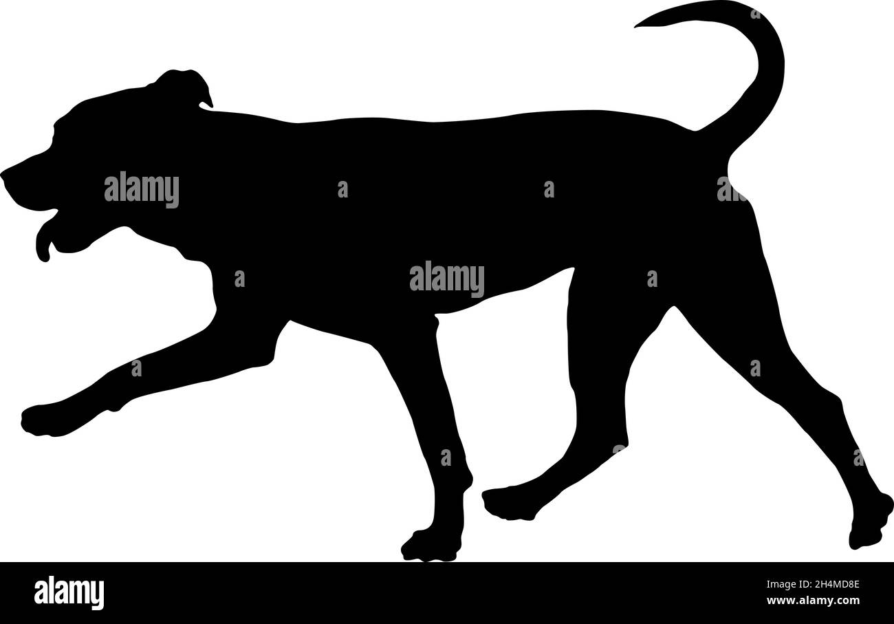 Esecuzione american pit bull terrer cucciolo. Silhouette nera per cani. Animali domestici. Isolato su sfondo bianco. Illustrazione vettoriale. Illustrazione Vettoriale