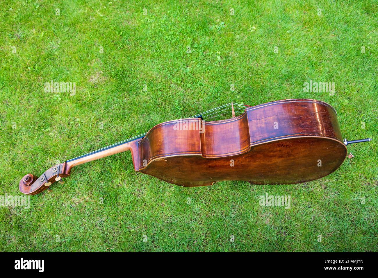 Contrabbasso su sfondo di erba verde. Lo strumento musicale è costituito da  una soundboard con due fori, un collo con una tastiera senza tastiera Foto  stock - Alamy