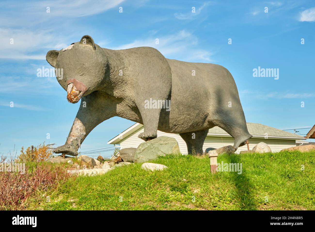 Statua di un orso nero vicino al centro di accoglienza a Kapuskasing. Foto Stock