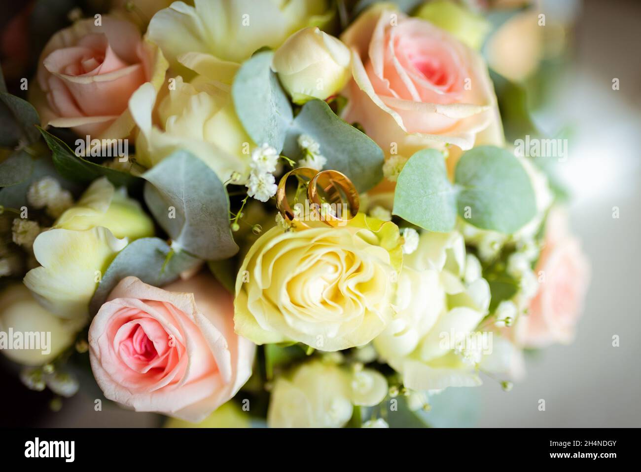Anelli di nozze su un petalo di una rosa. Concetto per un biglietto da matrimonio. Il bouquet della sposa. Foto Stock