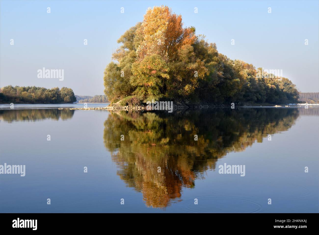 Alberi autunnali e riflessi sulle acque calme del vecchio fiume Danubio, vicino al Café Kompa, all'area protetta di Dunajské, Gabčíkovo Foto Stock