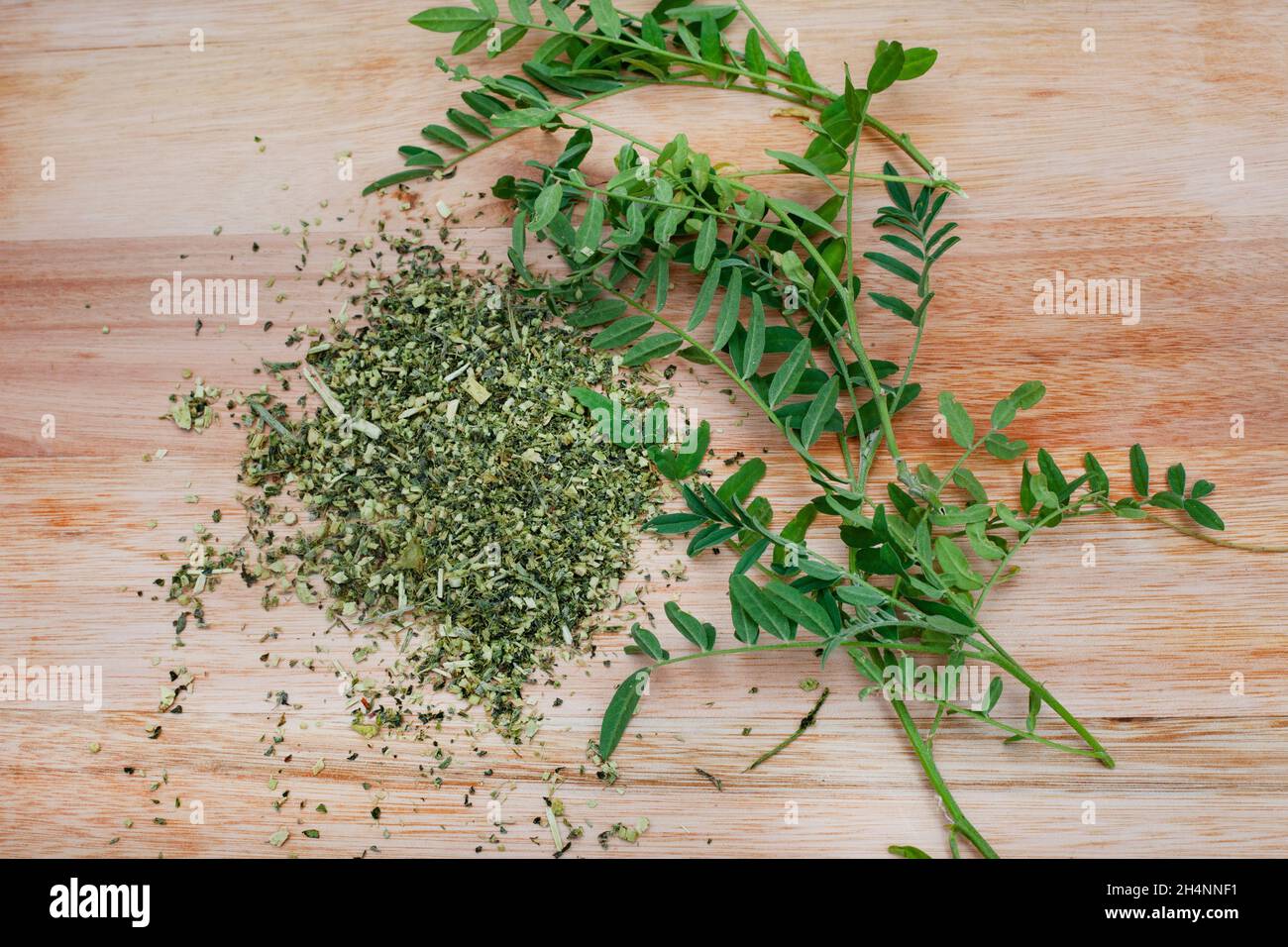 Cancro Bush tè, medicina tradizionale a base di erbe fatto da Sutherlandia pianta Foto Stock