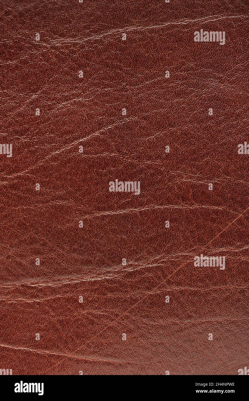 Vista ravvicinata macro superficie in pelle di qualità marrone. Consistenza della pelle ruvida degli animali Foto Stock
