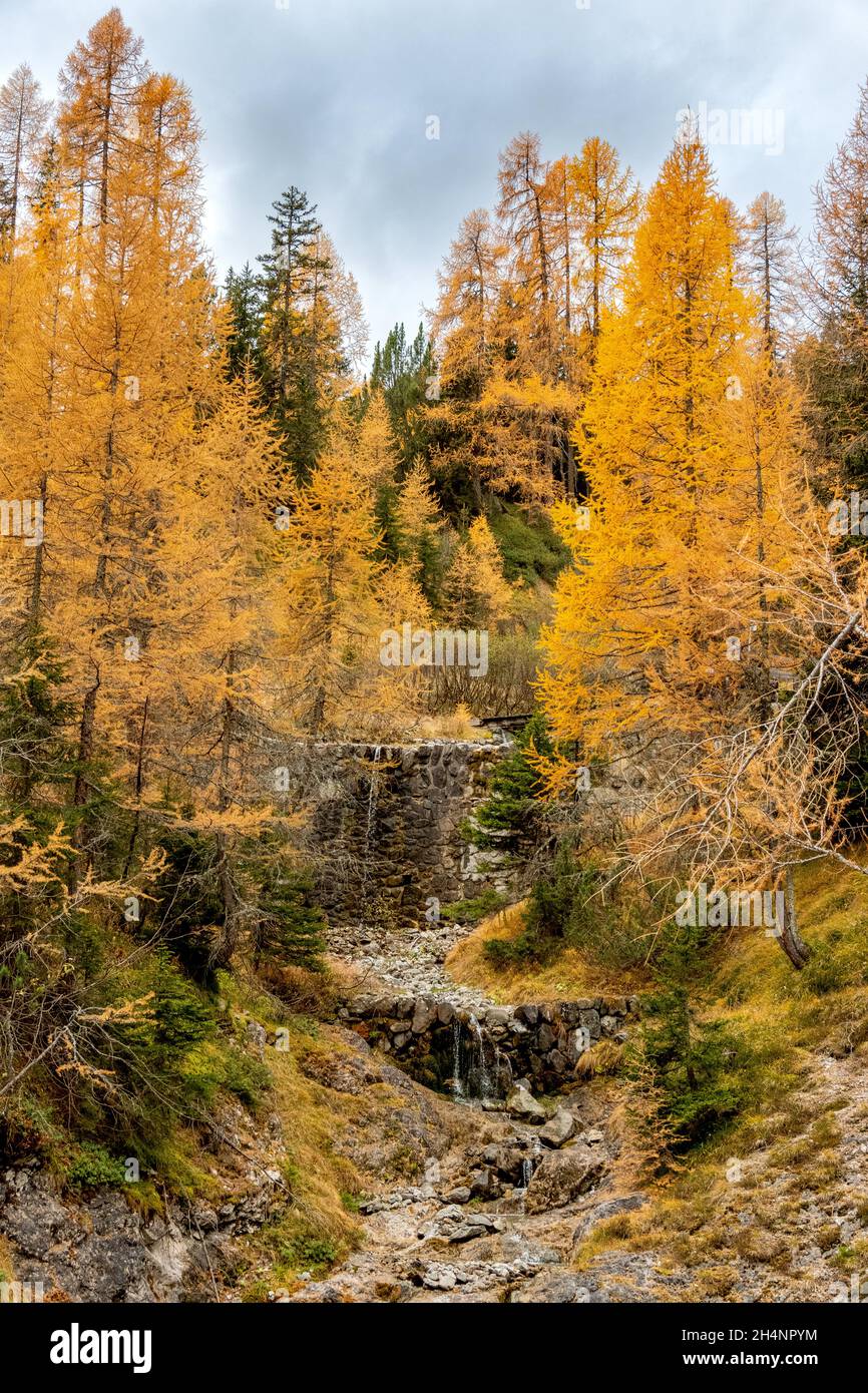 Cascata del Guggerbach vicino al Schatzalp a Davos nell'autunno 2021 Foto Stock