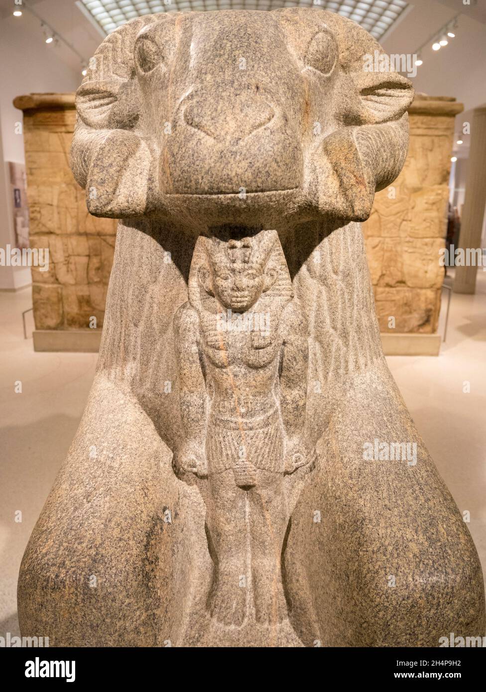 Scultura del dio egiziano Amun, con ariete, esposta nel Museo Ashmolean. Amun è l'antico dio egizio del sole e dell'aria, e uno dei m Foto Stock Scultura del dio egiziano Amun, con ariete, esposta nel Museo Ashmolean. Amun è l'antico dio egizio del sole e dell'aria, e uno dei m Foto Stock