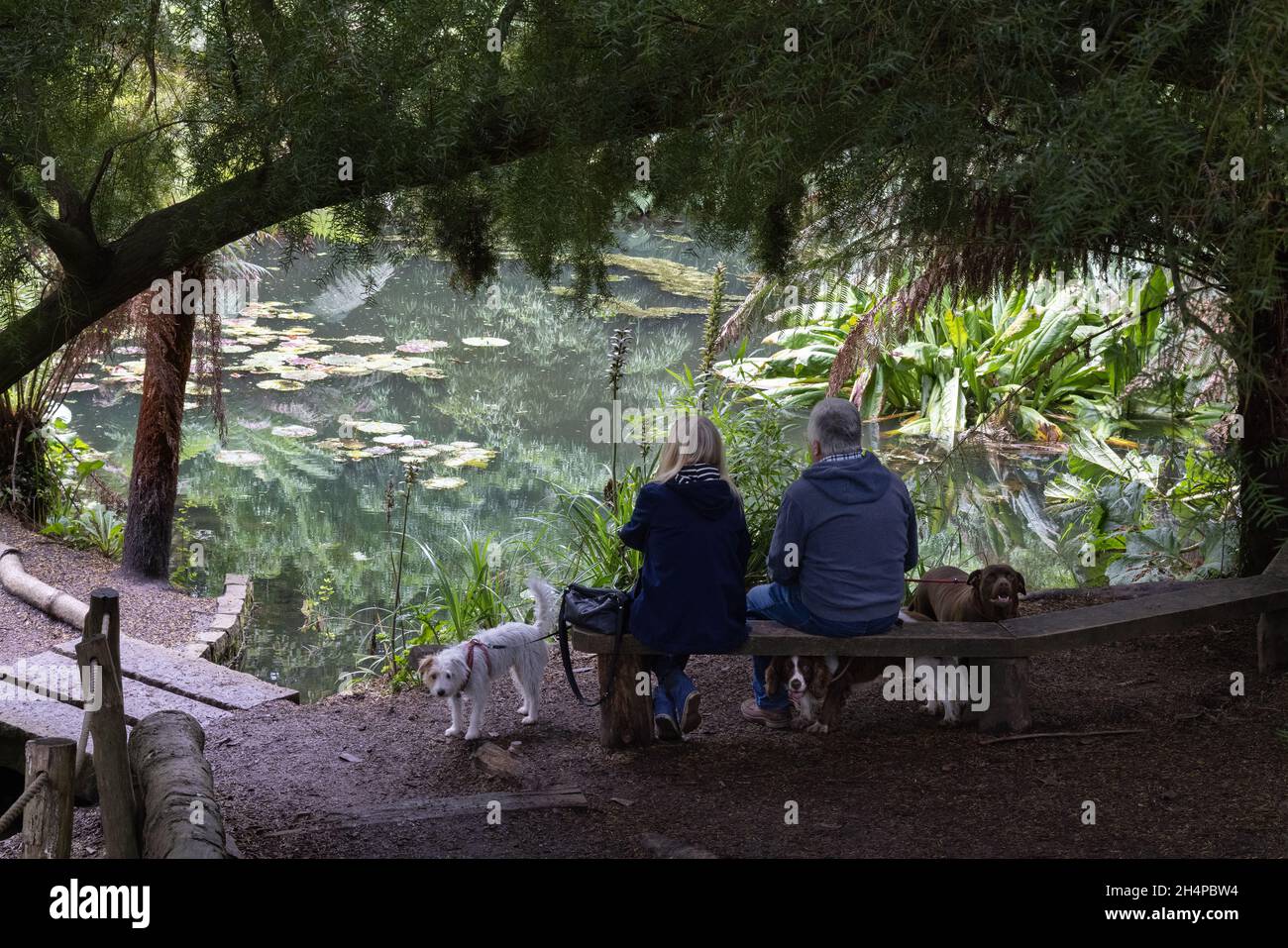 Una coppia ed il loro cane seduti nella zona della giungla ; i Giardini perduti di Heligan, Cornovaglia UK Foto Stock