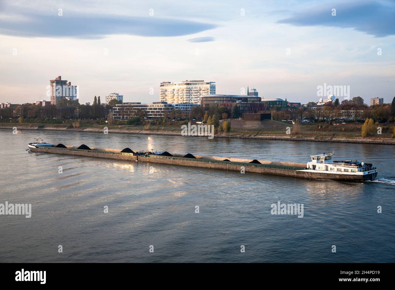 Portarinfuse sul Reno, distretto Bayenthal, Colonia, Germania. Schuettgutfrachter auf dem Rhein, Stadtteil Bayenthal, Koeln, Deutschland. Foto Stock