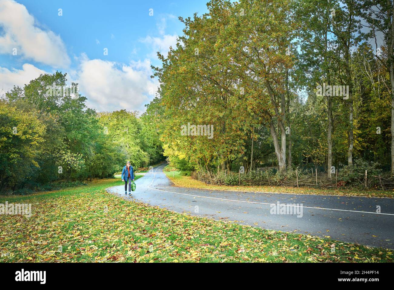 Una donna cammina su una strada collinare in un giorno d'autunno soleggiato, ma nuvoloso Foto Stock