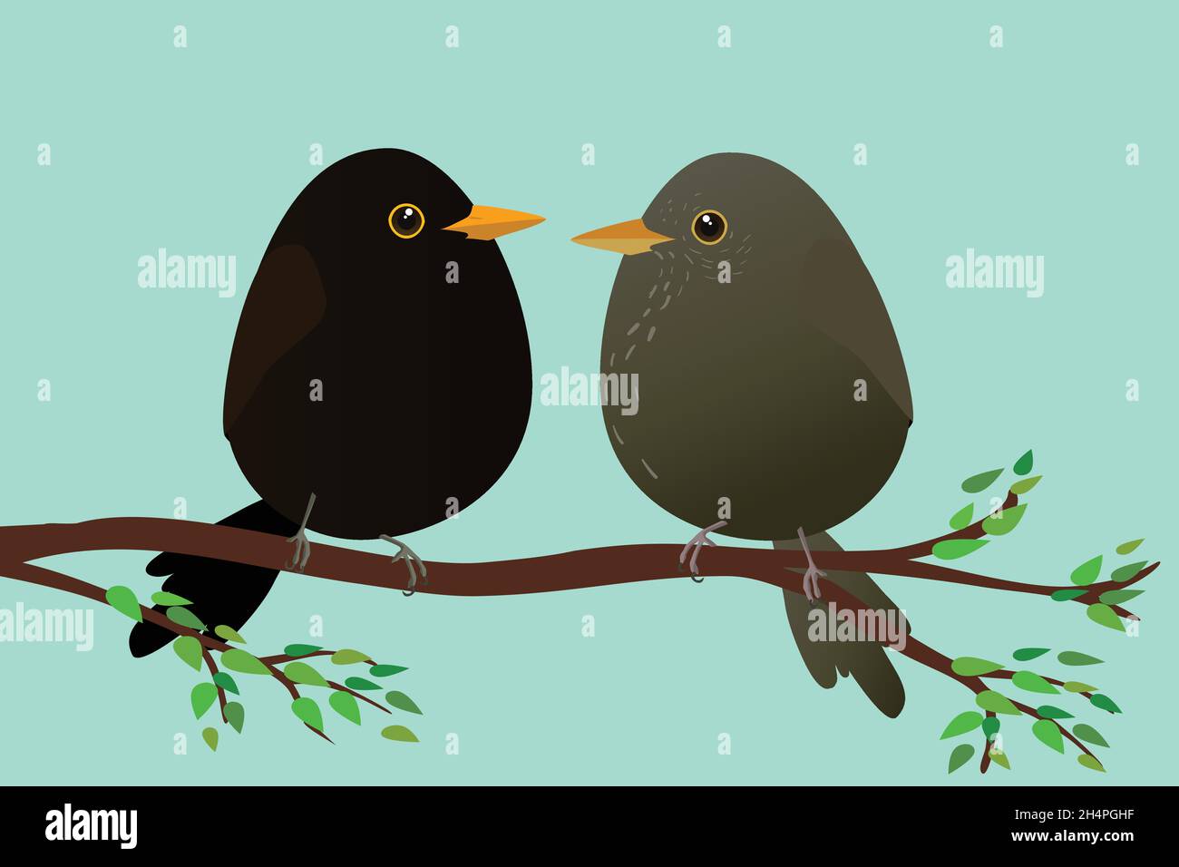 Una femmina molto carina e un maschio Blackbirds a forma di uovo. Sfondo verde-blu. Gli uccelli sono seduti su un ramo con foglie verdi. Illustrazione Vettoriale