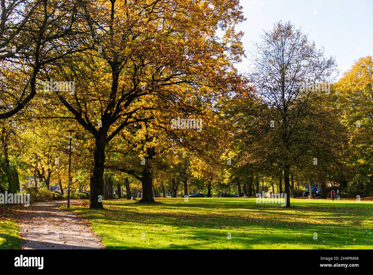 Herbstliche Parklandschaft mit grünem Rasen und farbigen Herbstlaub Foto Stock