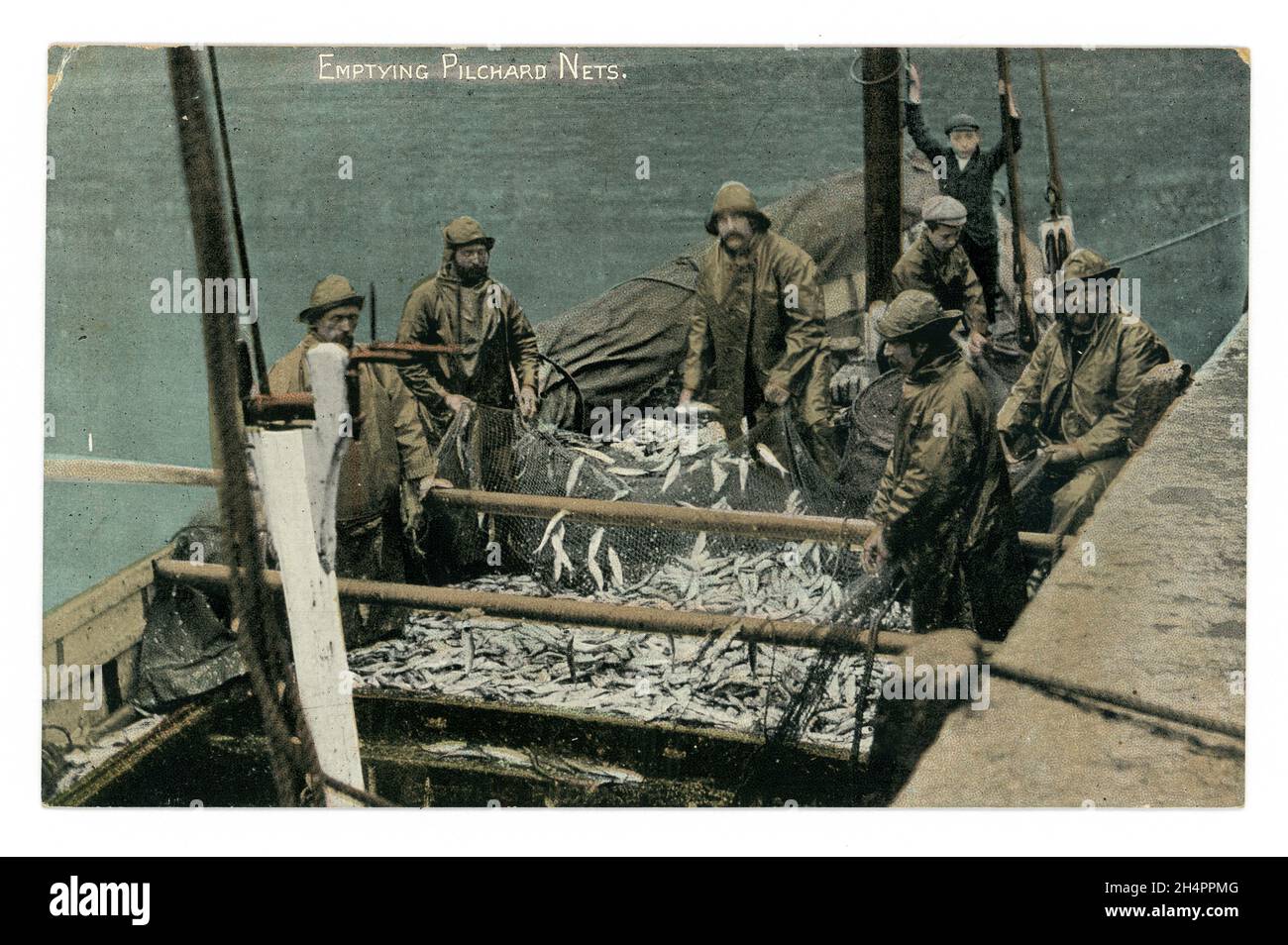 Originale cartolina colorata dei primi del 1900 di pescatori che svuotano i pilchards (sardine) dalle reti, (possibilmente reti della senna) serie di Argall, circa 1910 - Cornovaglia. Foto Stock
