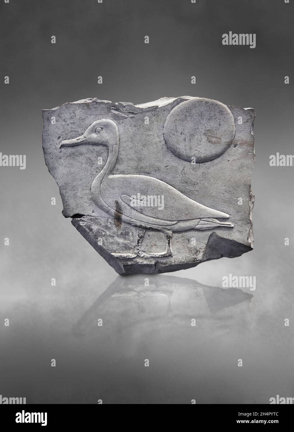 Antico anatra egittico e pannello solare disco parete frammento raffigurante un , 1550-1069, New Empire, calcare. Museo del Louvre e 14222. Il pannello mostra un Foto Stock Antico anatra egittico e pannello solare disco parete frammento raffigurante un , 1550-1069, New Empire, calcare. Museo del Louvre e 14222. Il pannello mostra un Foto Stock