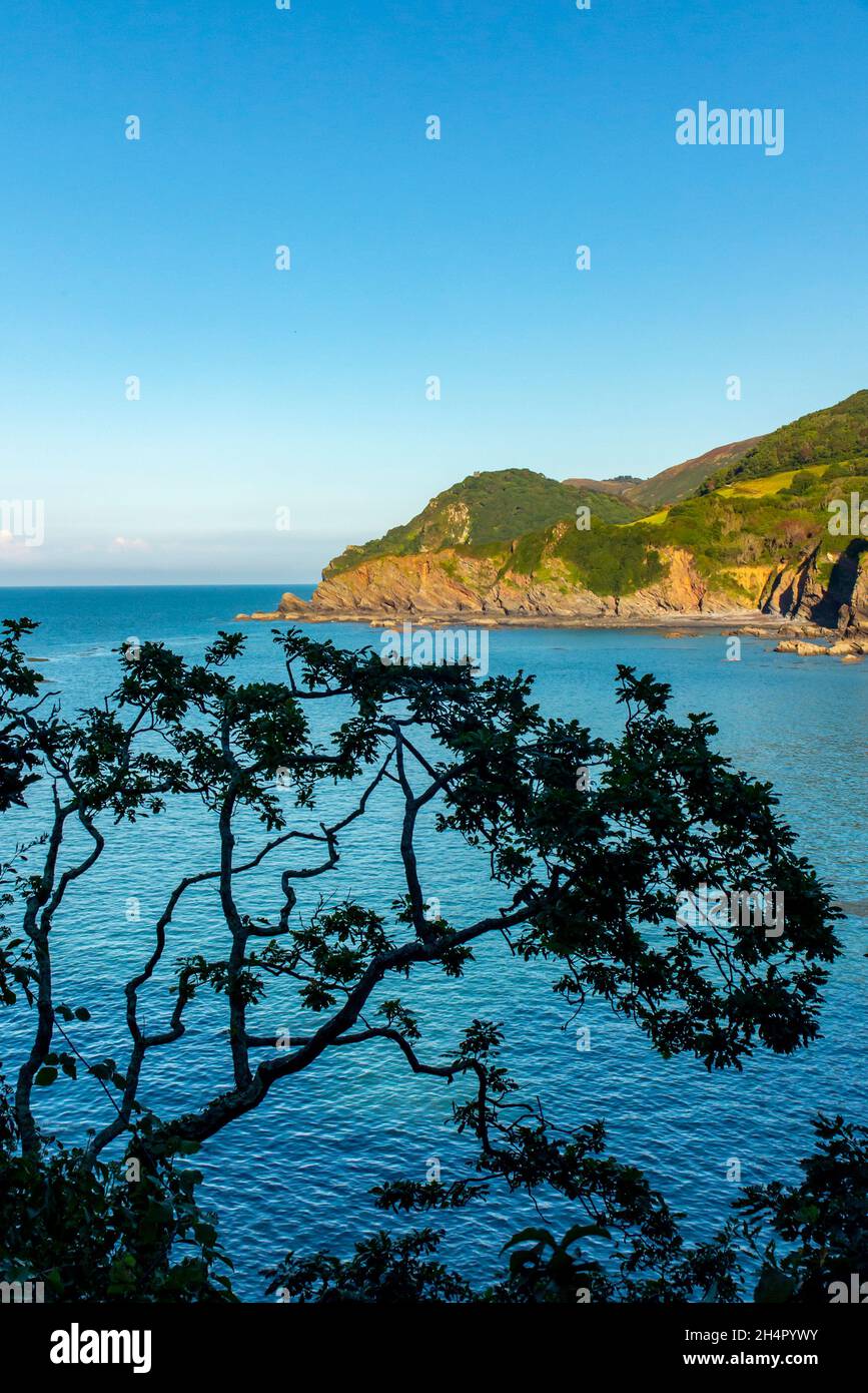 Il mare e le scogliere a Woody Bay vicino a Lynmouth sulla costa nord del Devon nel sud-ovest dell'Inghilterra Regno Unito. Foto Stock
