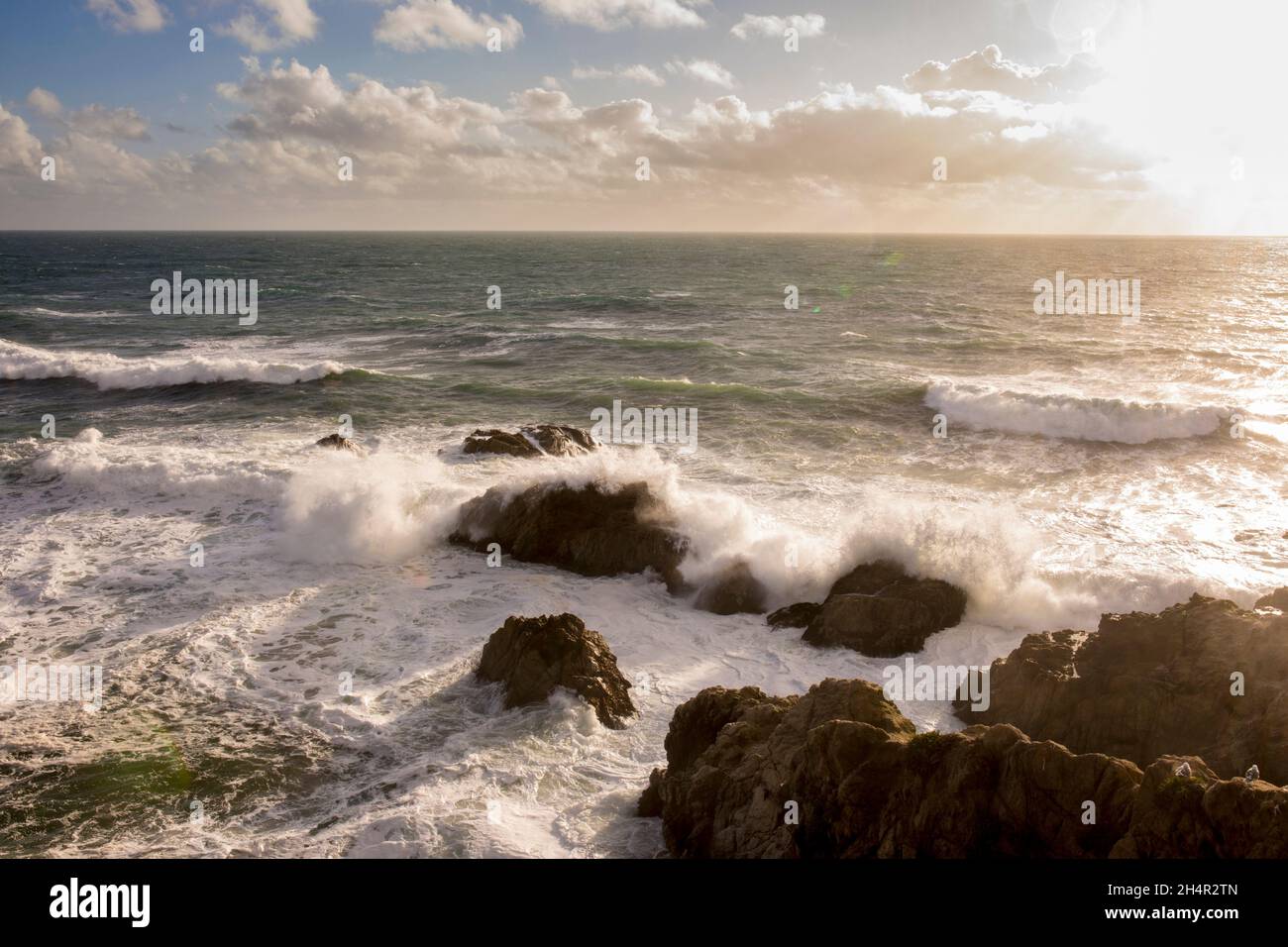 Le onde si infrangono lungo Bodega Bay nel nord della California al tramonto. Bodega Bay è un'area panoramica lungo l'autostrada 1 della California. Foto Stock