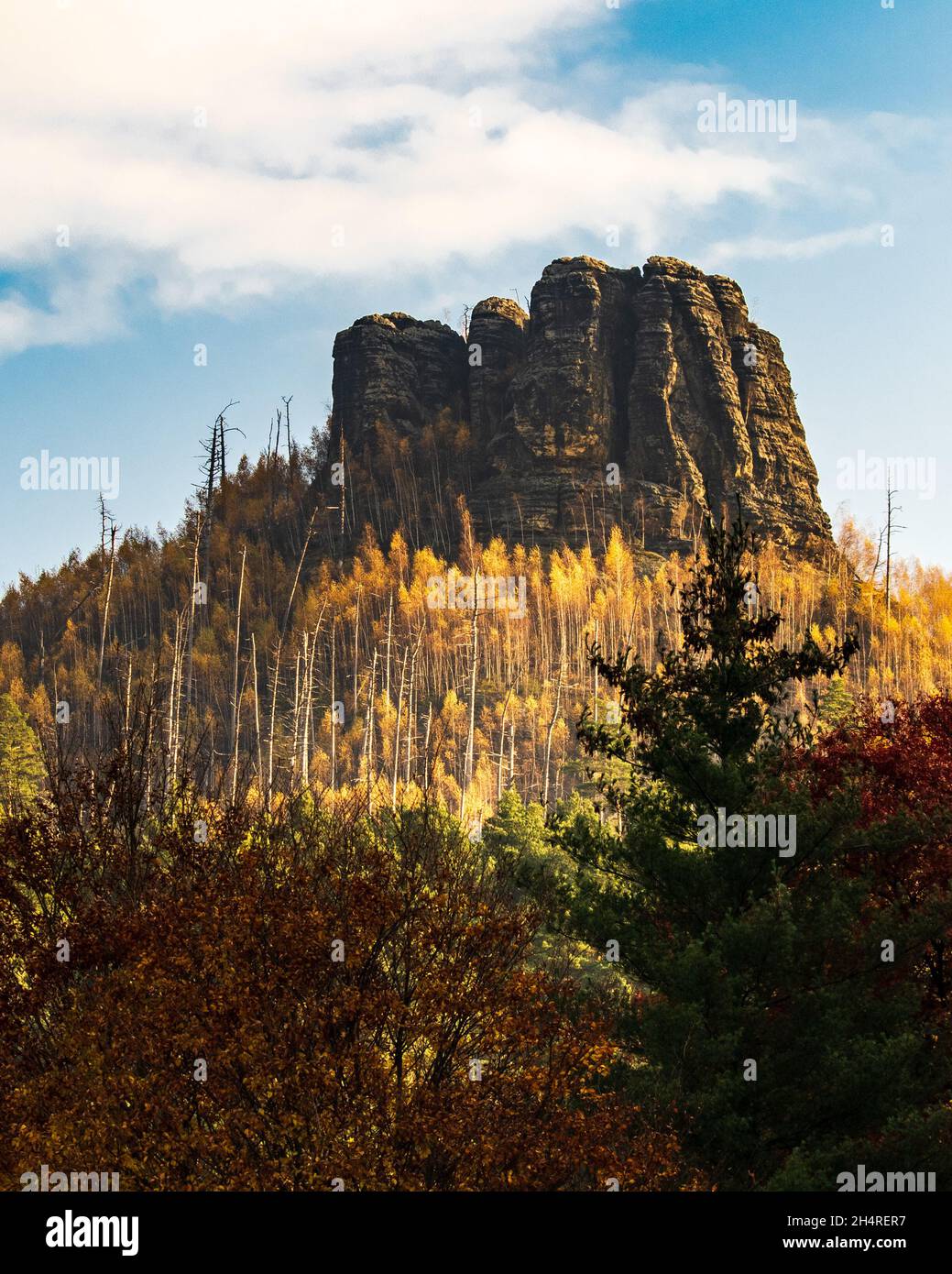 Monte Raven Stone (Havraní Skála) vicino a Jetrichovice (Repubblica Ceca) in luce dorata del mattino. Contro cielo blu con nuvole chiare Foto Stock