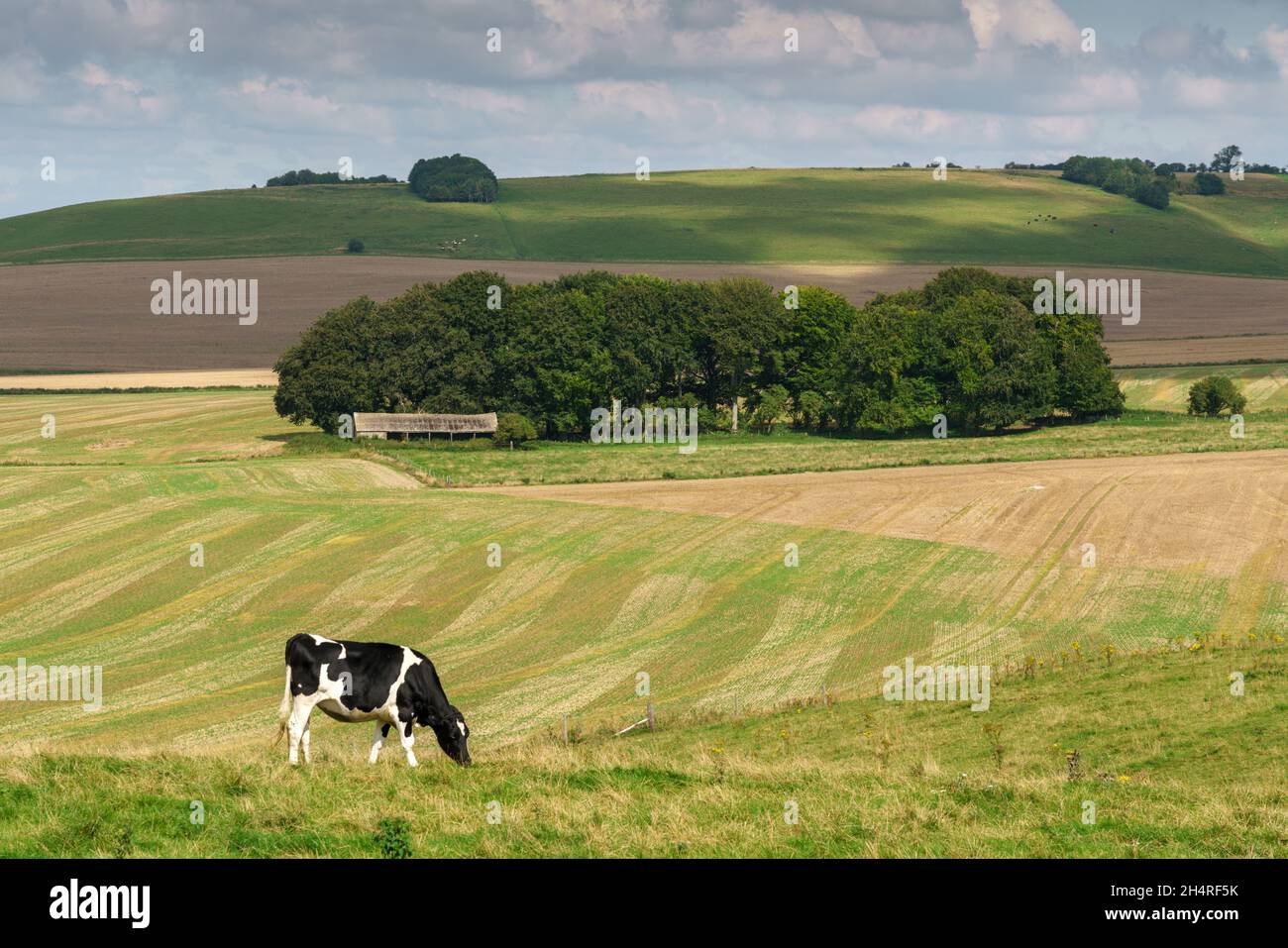 Vista dall'antica passeggiata Ridgeway Wiltshire Inghilterra UK Foto Stock