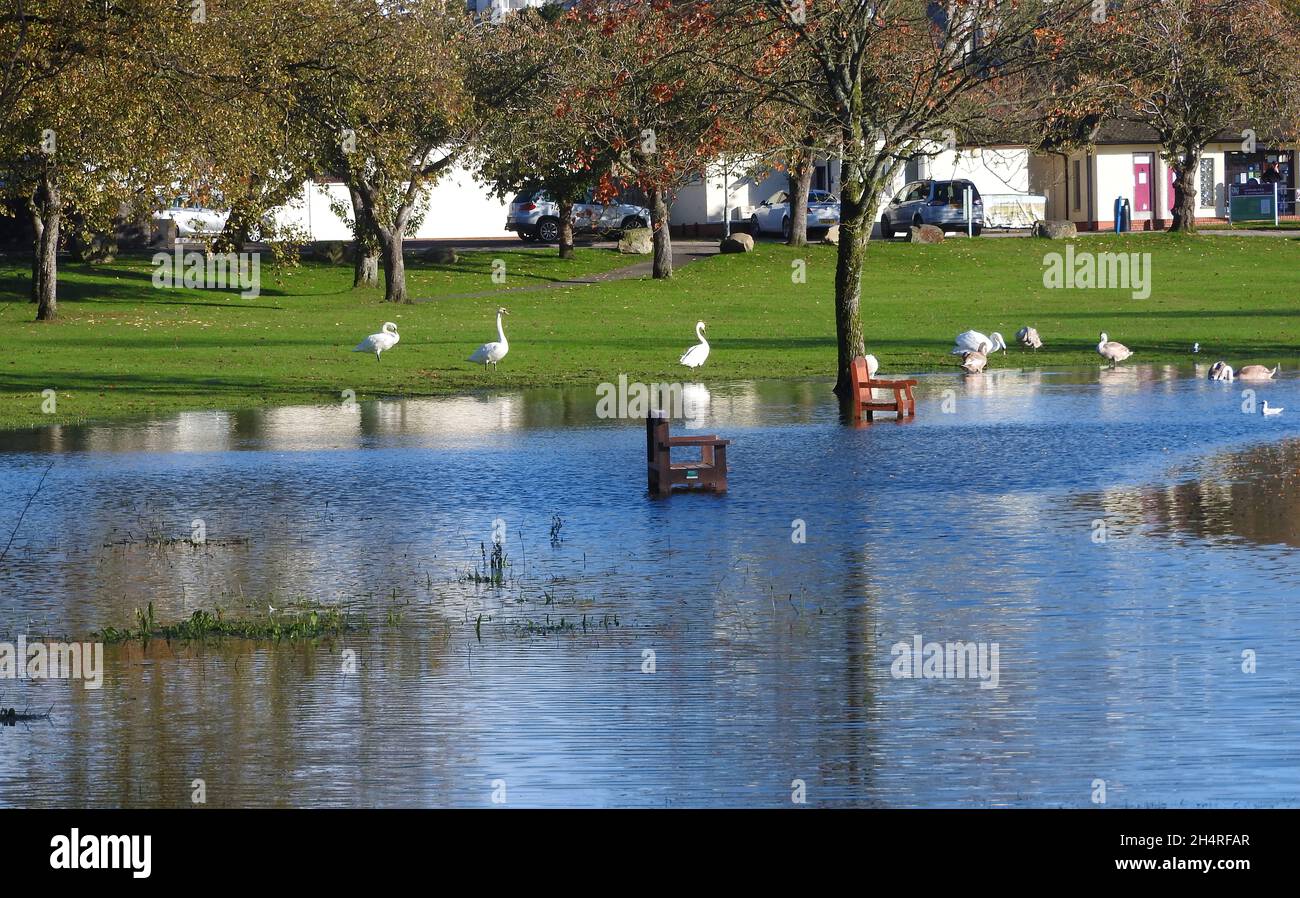 Alluvione a Carlingwark Loch, Castle-Douglas, (Caisteal Dhùghlais in Gaelic) Dumfries & Galloway, Scozia invade il parco a lato del lago - Novembre 2021. La città è stata fondata nel 1792 da William Douglas con denaro fatto in 'The American Trades' (schiavitù?) . La città era una volta conosciuta per il cotone tessuto a mano . Molti manufatti storici sono stati recuperati dal lago Foto Stock