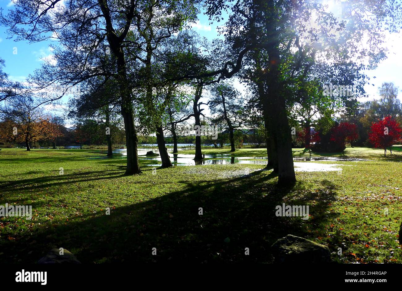 Alluvione a Carlingwark Loch, Castle-Douglas, (Caisteal Dhùghlais in Gaelic) Dumfries & Galloway, Scozia invade il parco a lato del lago - Novembre 2021. La città è stata fondata nel 1792 da William Douglas con denaro fatto in 'The American Trades' (schiavitù?) . La città era una volta conosciuta per il cotone tessuto a mano . Molti manufatti storici sono stati recuperati dal lago Foto Stock