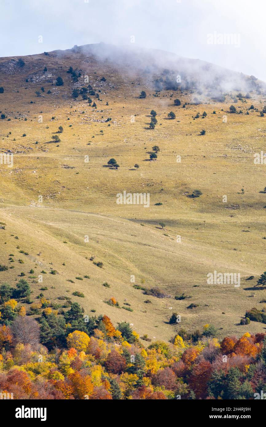 Cima Taga (tra nebbia o nebbia) con autunno (autunno) colori below. Ribes de Freser, Pirenei orientali, El Ripollès, Girona, Catalogna, Spagna, Europa. Foto Stock