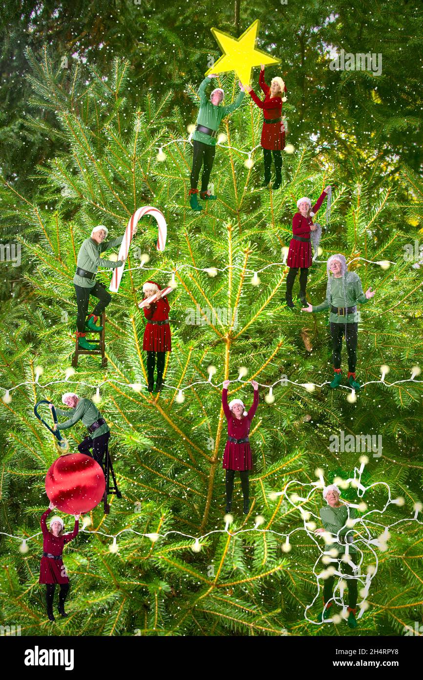 Coppia matura vestita come elfi decorando un albero di Natale con stella, canna di caramelle, tinsel, luci e ornamenti nella neve. Foto Stock