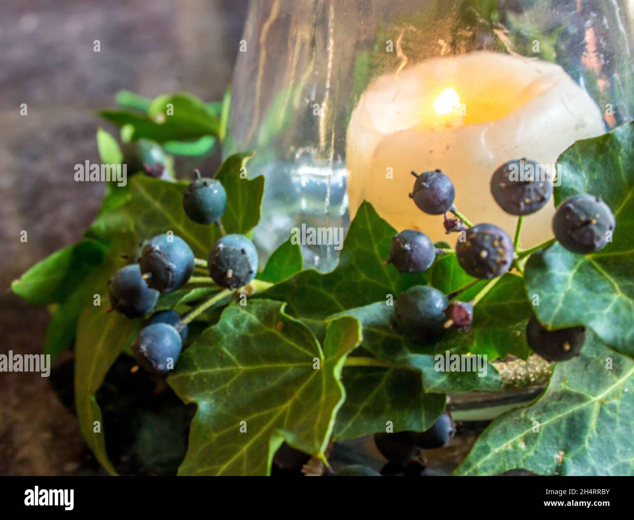 Vista ravvicinata di una candela in fiamme, circondata da bacche blu-nere e foglie verde scuro di un vitigno Ivy, Hedera Hibernica. Foto Stock