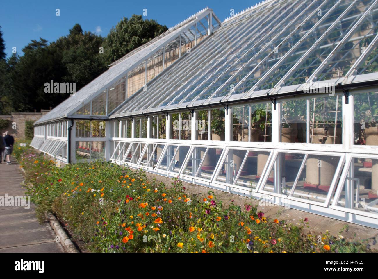 Esterno della serra Orchard House nel giardino formale Cragside, Rothbury, Northumberland, Inghilterra, Regno Unito, Regno Unito Foto Stock