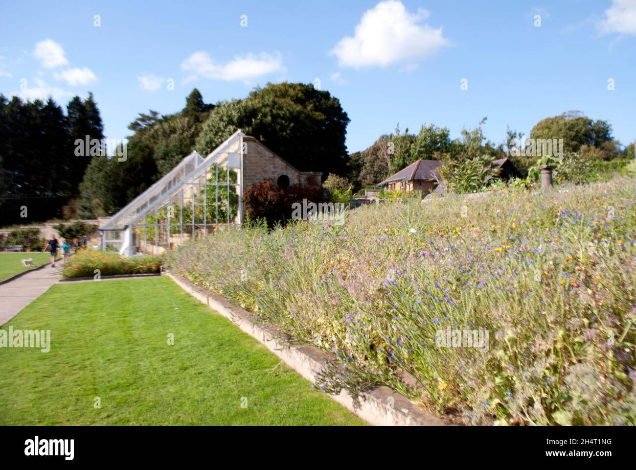 La serra Orchard House nel giardino formale Cragside, Rothbury, Northumberland, Inghilterra, Regno Unito, Regno Unito Foto Stock