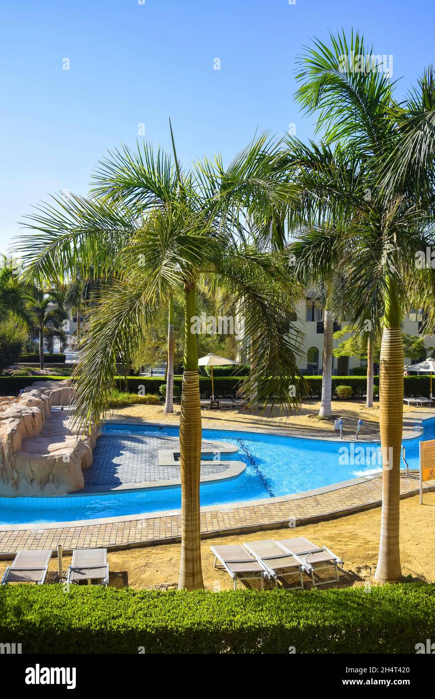 Piscina con acqua limpida blu sullo sfondo di palme senza persone. Attorno alla piscina sono presenti lettini e ombrelloni. Spazio di copia Foto Stock