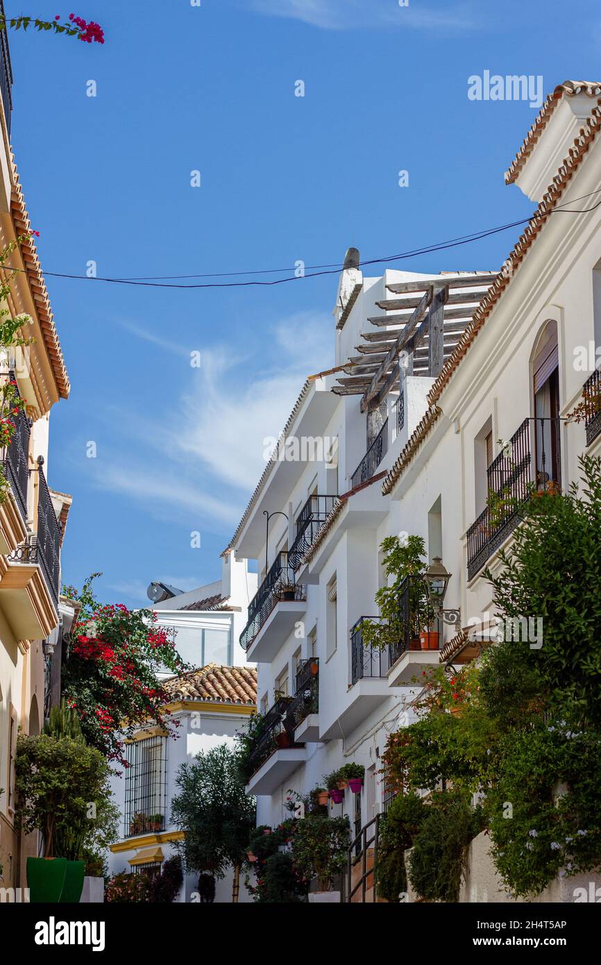 Una strada tipica nella città vecchia di Estepona con vasi di fiori colorati. Estepona, Andalusia, Spagna Foto Stock