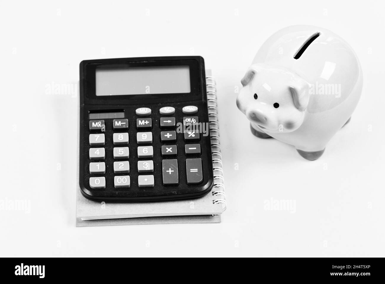 risparmio di denaro. Contabilità e libro paga. Contabilità. Rapporto finanziario. Moneybox con calcolatore. Piggy banca. Pianificazione del bilancio di conteggio. Commerece Foto Stock
