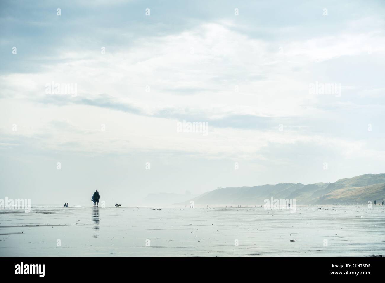Sandsend, spiaggia in cui sono ammessi i cani, è il luogo ideale per i cani da passeggio, qui come la nebbia marina solleva. North Yorkshire, Regno Unito Foto Stock