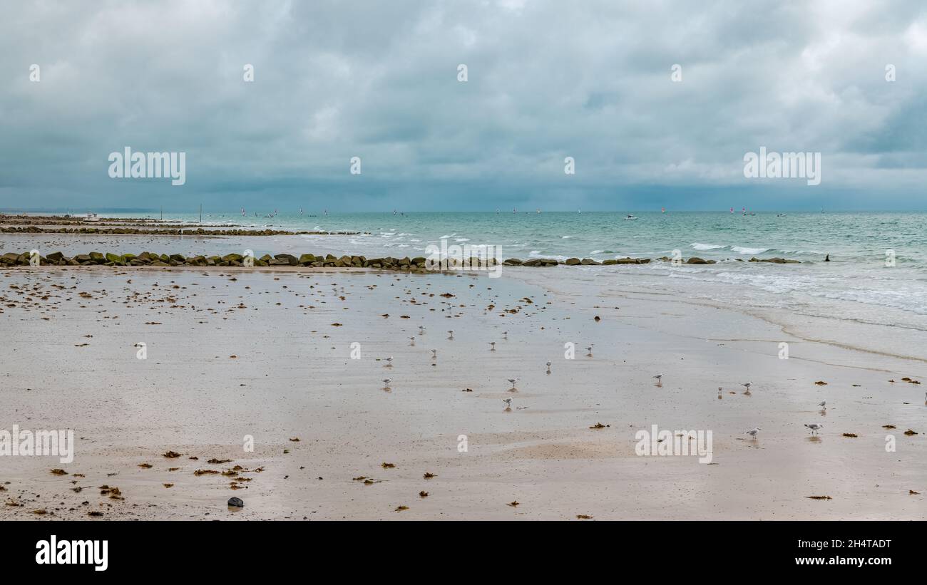 Spiaggia di Agon-Coutainville in Normandia, dopo la tempesta di tuoni, con gabbiani Foto Stock