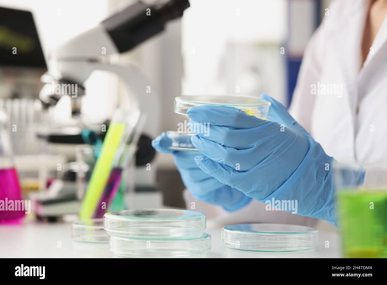 Chimico scienziato in guanti di gomma apertura piastra Petri in laboratorio closeup Foto Stock