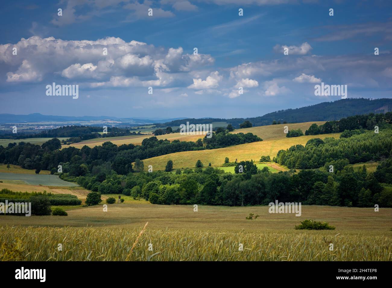 Un paesaggio di montagna, vista sui monti Bardzkie, Valle Klodzka, Polonia. Campi di cereali dorati, foresta verde, cielo nuvoloso, giorno d'estate. Foto Stock