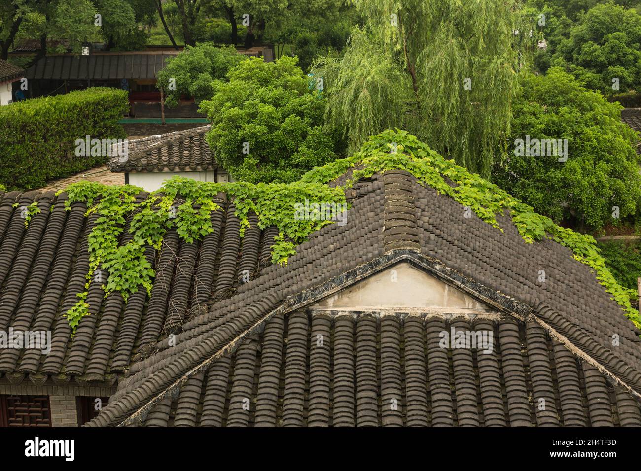 Dettaglio architettonico dei tradizionali tetti di tegole di argilla nella Pan Gate Scenic Area di Suzhou, Cina. Foto Stock