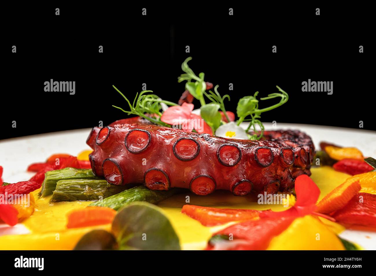 Tentacolo di polpo cotto in primo piano con erbe aromatiche Foto Stock