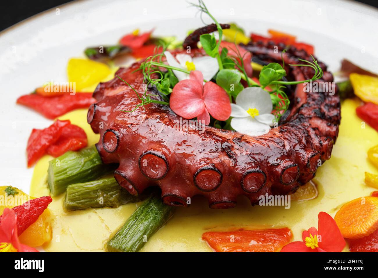 Tentacolo di polpo cotto in primo piano con erbe aromatiche Foto Stock
