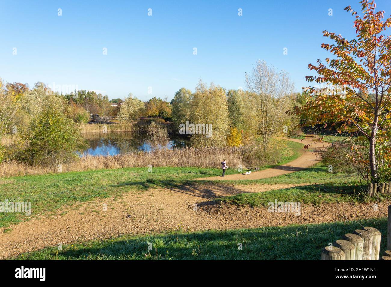 Bedfont Lakes Country Park dal Mote, Bedfont, London Borough of Hounslow, Greater London, England, Regno Unito Foto Stock